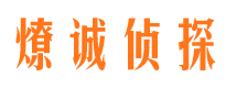 富宁市调查公司